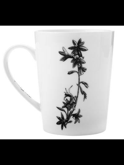 Кружка Африканский лев, 450 мл подарочная упаковка