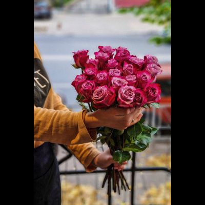 Роза Эквадор &quot;Дип Перпл&quot; 50 см 25 шт