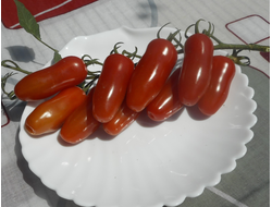 Томат  Черевички