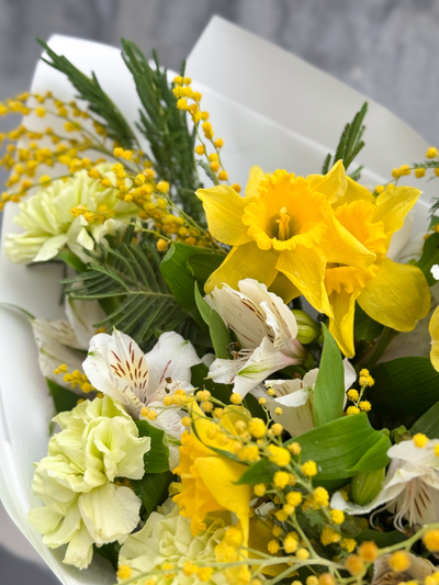 Первоцветы