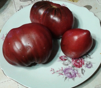 Семена томата Пурпурное сердце Гном