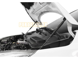 Амортизаторы капота, 2 шт. АвтоУпор для Ford Kuga II 2012-2016