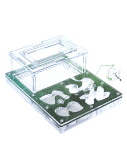 Формикарий 4ants комплект Antrum M зеленый + колония Messor Structor