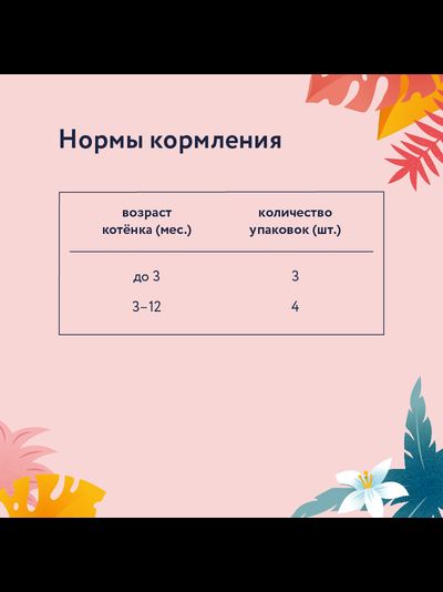 Florida (Флорида) влажный корм (пауч) для котят, кусочки с курицей в соусе 85 г