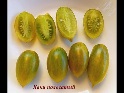 Томат Хаки полосатый