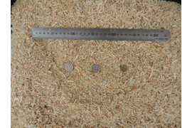 Щепа хвойных пород,  влажность 22%, вылет ножей 7 мм, сито Ø 8 мм