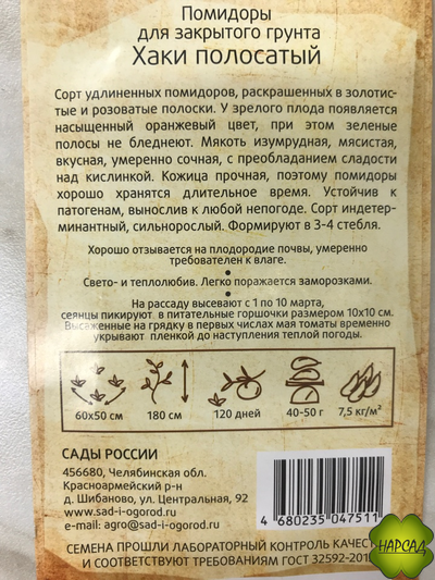 Томат "Хаки полосатый" (1,8 м, мясистые, неприхотлив)