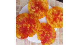 Удивительная благодать, Амазинг грейс 