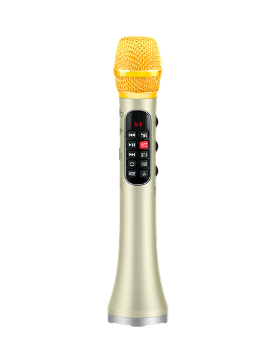 Профессиональный   караоке-микрофон  L-1098DSP  30w