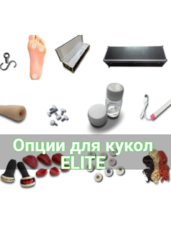 Опции для линейки Standart