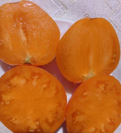 Томат Верна оранжевая