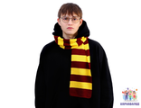 Набор Гарри Поттер ( шарф + очки)