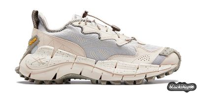 REEBOK ZIG KINETICA 2 EDGE BIEGE (40-45)