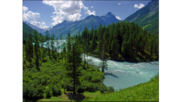 ЦЕЛЕБНЫЙ АЛТАЙ