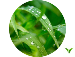 Адъюванты (Прилипатели)