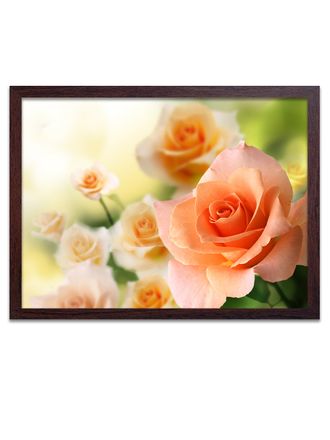 Картина для декора в раме 470кор 70*50 "Розы".