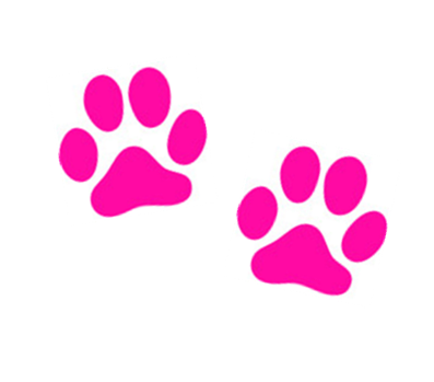 Отпечаток лапки кота розовый. Кошачьи следы розовые. Розовые лапки. Розовые Отпечатки лап.
