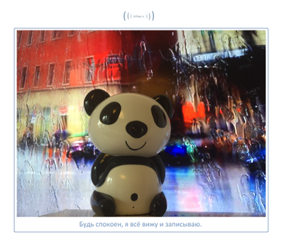 Видеоняня Panda WiFi-LAN видеокамера с DVR , HD (MIPC)