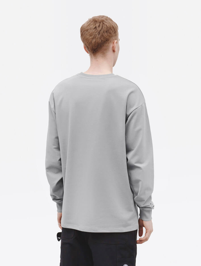 Лонгслив Anteater Phat Long 100 вид со спины