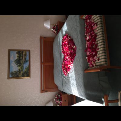 Оформление номера | ванной лепестками роз и цветами № 1494