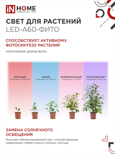 ASD/InHome фито лампа для рассады и растений ЛОН А60 E27 15W 15мкмоль/с 110x60 LED-A60-FITO 6502