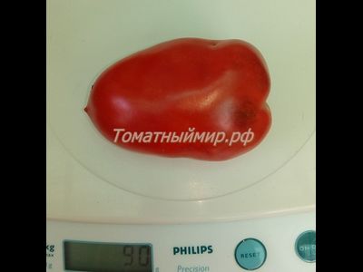 Томат Osu o Blonde avec Tetons (Пышногрудая блондинка Osu)