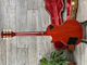 NEW Gibson Les Paul Standard 50&#039;s Cherry Sunburst