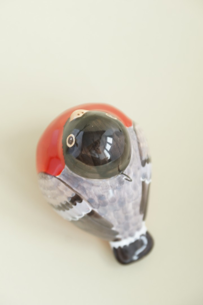 Птичка снегирь