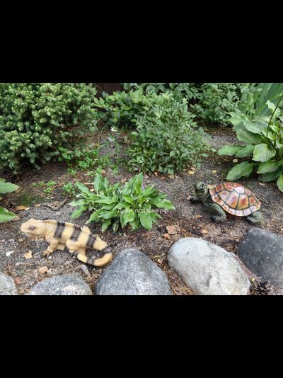 Ящерица 12*26см  полистоун Россия 972//012534