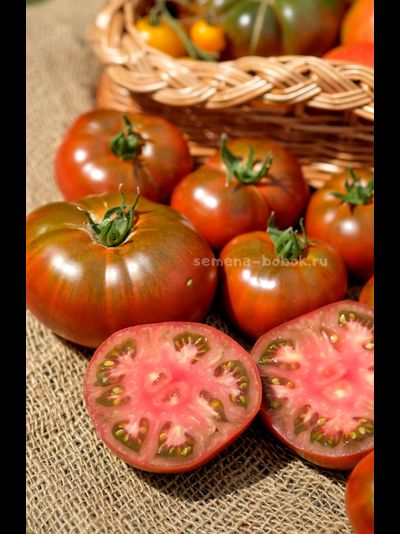 Томат Ярсон 16 (Jarson 16), 10 шт