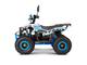 Квадроцикл YACOTA SIRIUS 110