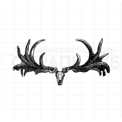 штамп винтажный рога ирландского лося