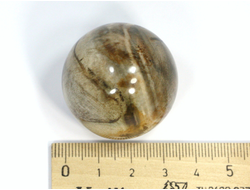 Шар Окаменелое дерево, Мадагаскар (35 мм, 57 г) №20703