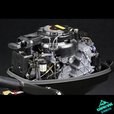 Лодочный мотор Suzuki DT9.9AS