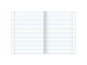 Тетрадь предметная К ЗНАНИЯМ 36 л., обложка мелованная бумага, РУССКИЙ ЯЗЫК, линия, BRAUBERG, 403937