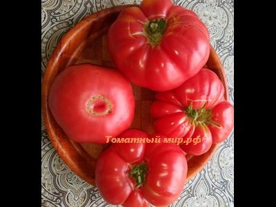 Томат Бабушка Бейкера (Grandma Baker's)