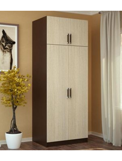 Шкаф с перегородкой 2ств