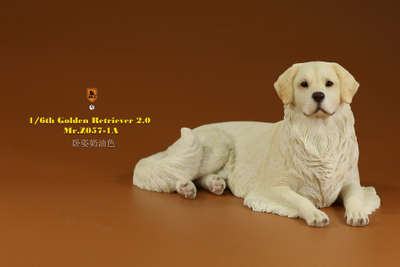 Белый ретривер (лежащий) - Коллекционная ФИГУРКА 1/6 scale Animal Model Golden Retriever 2.0 (MRZ057-1A) - Mr.Z