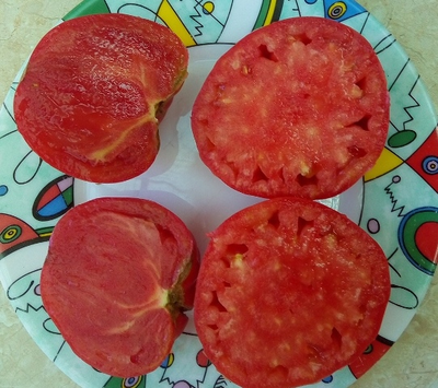 Томат Большой Серж (Grosse Serge)