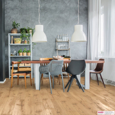 Декор ламината Haro Tritty 100 Дуб Альпийский Натур 542069 в интерьере