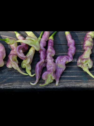 Перец острый Aji Confusion (Ахи Конфуз), 10 шт