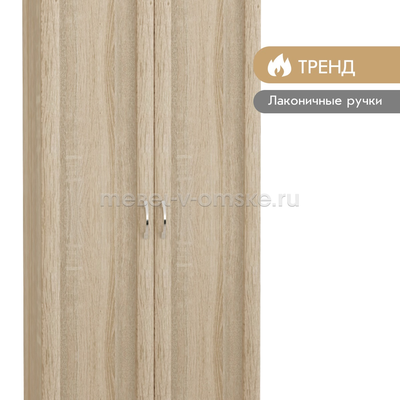 Шкаф для одежды Фиери