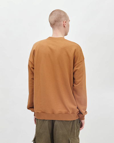 Толстовка Anteater Crewneck Табачная