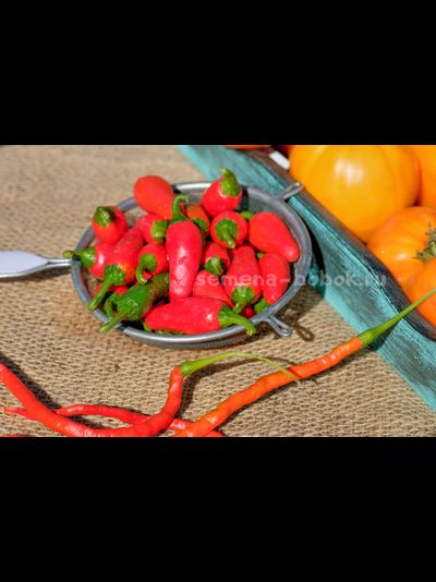 Перец острый Jalapeno Mini (Халапеньо Мини), 10 шт