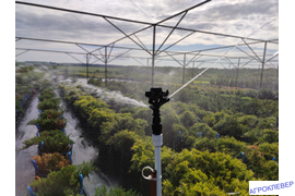 Полив контейнерной площадки спринклерами.