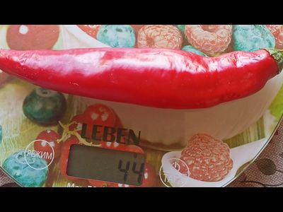 Перец острый Инферно (Inferno)