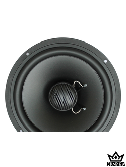 Best Balance E65 Black Edition