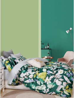 Постельное белье TANGO Twill сатин евро 200x220x1 230x250x1 50x70x2 70x70x2 TPIG6-1825