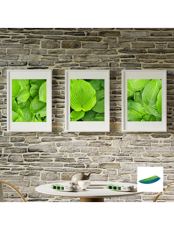 Постеры «Свежесть». Коллекция "Оттенки лета"