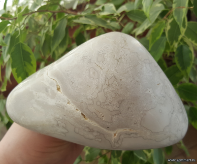 Почки халцедона в полости — полировка. «Домовой» КЧР. U04